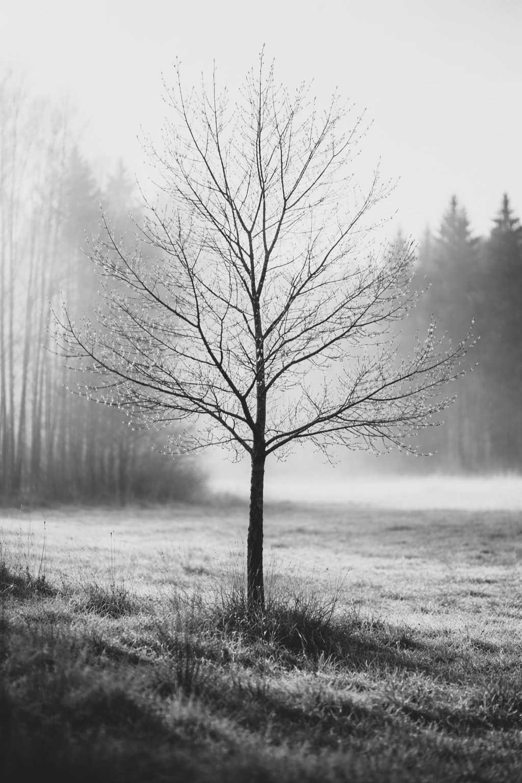 Non era l’ultimo inverno